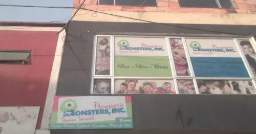 PELUQUERIA MONSTERS IN PELUQUERIA MONSTERS IN